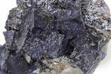 Purple Cubic Fluorite Crystals on Sphalerite - Elmwood Mine #240506-2
